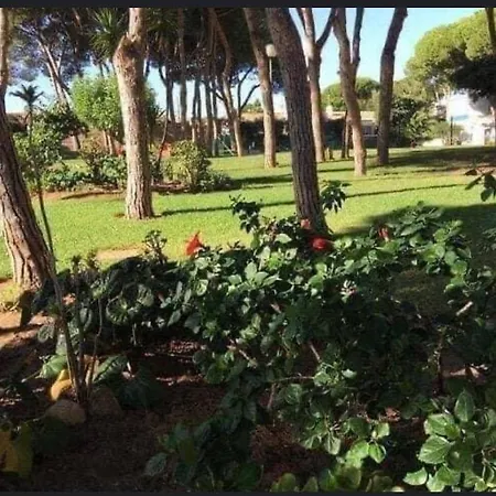 Apartamento Calypso *